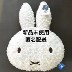 Item thumbnail for item d9112dca-7dd7-4fc7-a0ad-5978801a879e