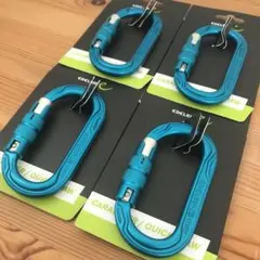 Item thumbnail for item 5d2d003f-a874-4f3f-aa4f-ff299c43f68f