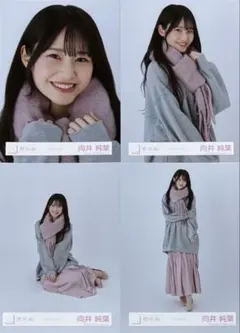 櫻坂 櫻坂46 生写真 マフラーコーデ 向井純葉 コンプ