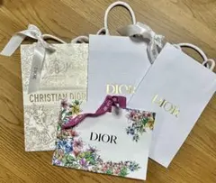 Dior 紙袋　4枚セット