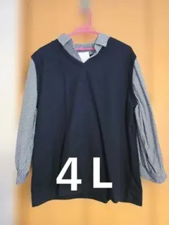 重ね着風 4l
