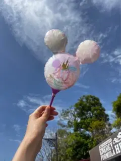 ディズニー　40周年　手持ちバルーン　風船　ハーモニーインカラー
