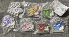 ポケモン 30周年 メタルチャーム めじるし コンプリート