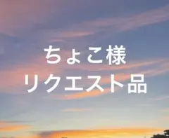 ちょこ様 リクエスト 2点 まとめ商品