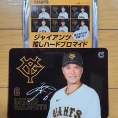 坂本勇人　読売ジャイアンツ巨人軍　推しハードブロマイド　⑥㉘