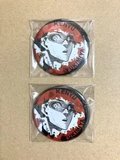 ブルーロック 雪宮剣優 缶バッジ(2個)