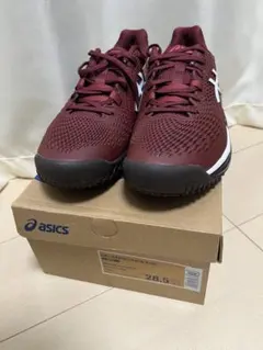 ASICS GEL-RESOLUTION 9 28.5cm オムニ・クレー