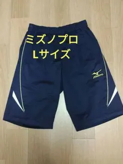 Item thumbnail for item 56941b39-f9dc-43d0-8d76-c827cb06036a