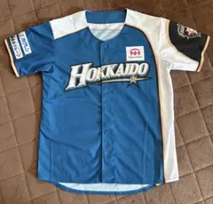 北海道日本ハムファイターズ WE LOVE HOKKAIDO ユニフォーム