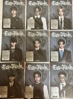 &TEAM Go in Blind (月狼)ソロジャケット CD 9枚セット