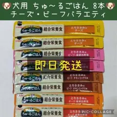 ⑭ いなば　犬用ちゅーるごはん チーズ・ビーフバラエティ 8本セット