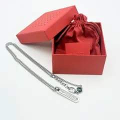 【美品】DIESEL ペンダント ネックレス (箱/巾着/ミニブック付き)