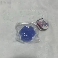 スクイーズ