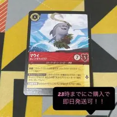 【即日発送】 ロルカナ レジェンダリー マウイ サメ 1枚