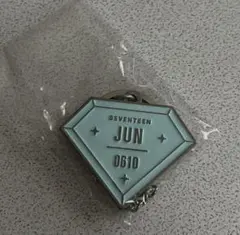 SEVENTEEN 2019 HARU ジュン キーホルダー