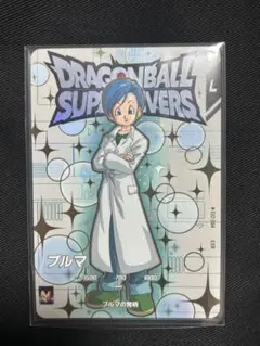 EX2-004 ブルマ EXR