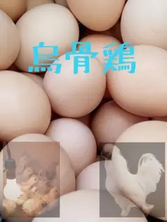 烏骨鶏卵　ゆめちゃん食品のサムネイル