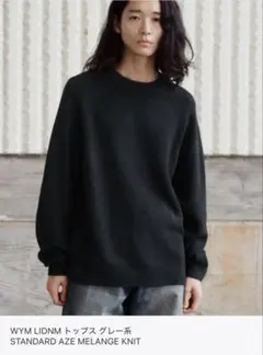 WYM STANDARD AZE MELANGE KNIT Mサイズのサムネイル