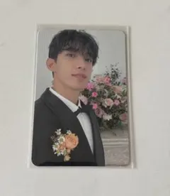 FML carat盤 ドギョム トレカ