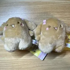 シナモロール ぬいぐるみ モカ　激レア シナモロール ぬいぐるみ モカ 激レア サンリオ♡シナモンロール