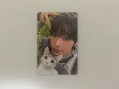 NCTWISH color トレカ　リク