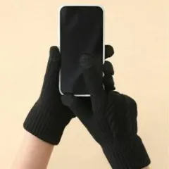 手袋 防寒 メンズ アウトドアグローブ 作業用手袋 スマホ対応 暖かい