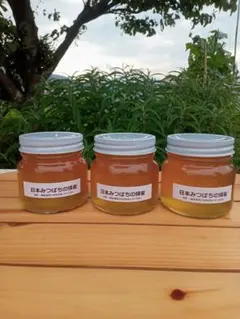日本蜜蜂の蜂蜜　今年6月末に採蜜 実量500g×2本　消味期間2028年6月 日本蜜蜂の蜂蜜 今年6月末に採蜜 実量500g×2本 賞味期限2028年6月