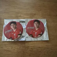 Item thumbnail for item 09a60b13-f877-4319-85e8-a36b4ab2bdcc