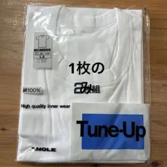 Item thumbnail for item c37d482a-7d0b-41ae-9e65-0a59f74b4264