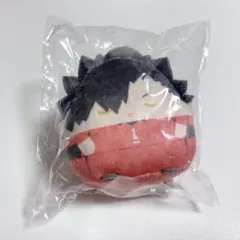 ハイキュー!! ぬいくじ ふわコロりん E賞 てのりんず 黒尾鉄朗