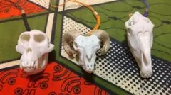 2026年最新】十二支動物頭骨根付の人気アイテム - メルカリ