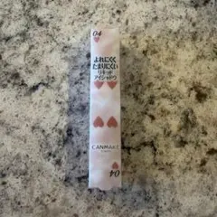 CANMAKE キャンメイク　アイカラーマジシャン 04 淡い予感 1本