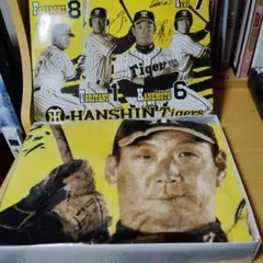 阪神タイガース 金本知憲 応援タオルケット