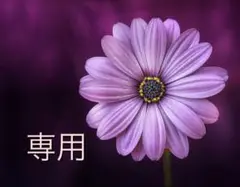 MINECRAFT マインクラフト クリーパーをつかまえろ!