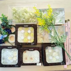 プリザーブドフラワーセット ホワイト・グリーン 　造花　ワイヤー　テープ