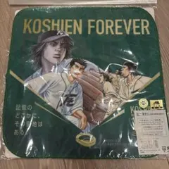 甲子園球場100周年コラボ ルーキーズ ミニタオル　未使用