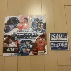 BLUECATS ARENA チャリティーマッチ 記念ハンドタオル