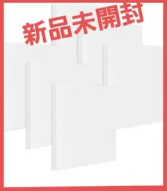 張りキャンバス S10