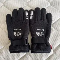 supreme THE NORTH FACE GORE-TEX 手袋