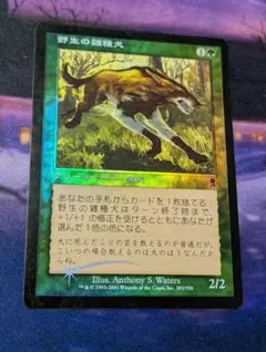 MTG 野生の雑種犬 FOIL オデッセイ 旧枠 初版 日本語 １枚 MTG 野生の雑種犬 FOIL オデッセイ 旧枠 初版 日本語 1枚 - メルカリ