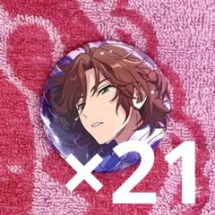 三毛縞斑 テーマ スカウト 缶バッジ 21個