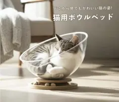 猫用ボウルベッド クリア 透明 ボールトラック付きのサムネイル