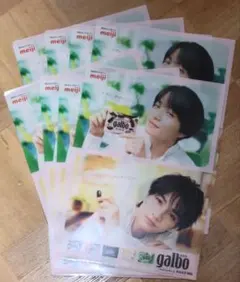 ガルボ 中島健人 菊池風磨 A4 クリアファイル 8枚セット まとめ