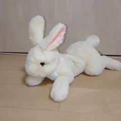 サンリオキャラクター ホシノワグマ ぬいぐるみ - メルカリ