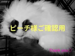 ピーチ様ご確認用おまとめ