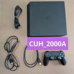 【おまけ付き】PlayStation 4 (CUH-2000AB01)