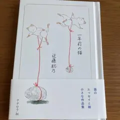一年前の猫