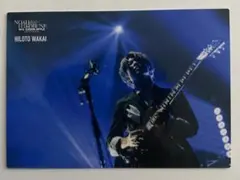 Mrs.GREEN APPLE フォトカード No.8 若井滉斗