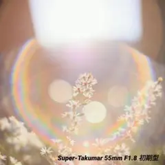 良品美フレア】Super Takumar 50mm f1.4 清掃済 m42 - メルカリ