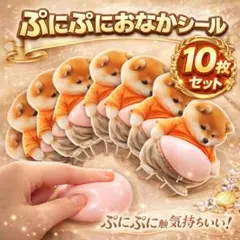 さくら様専用【柴犬10枚セット】ｘ　3セット まとめ売り